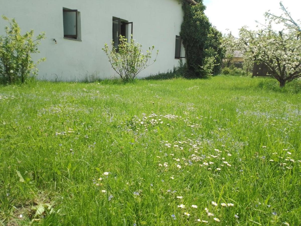 U Hovorku S Bazenem - U Piskoven Vlkov * Veselí nad Lužnicí